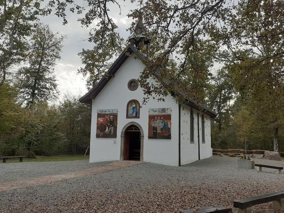 A L'Oree Du Bois "Les Hetres" Guewenheim Exterior photo